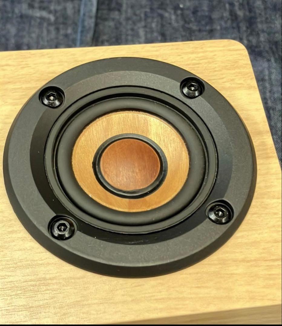 ビクター　EX-DM10　WOOD CONE Victor