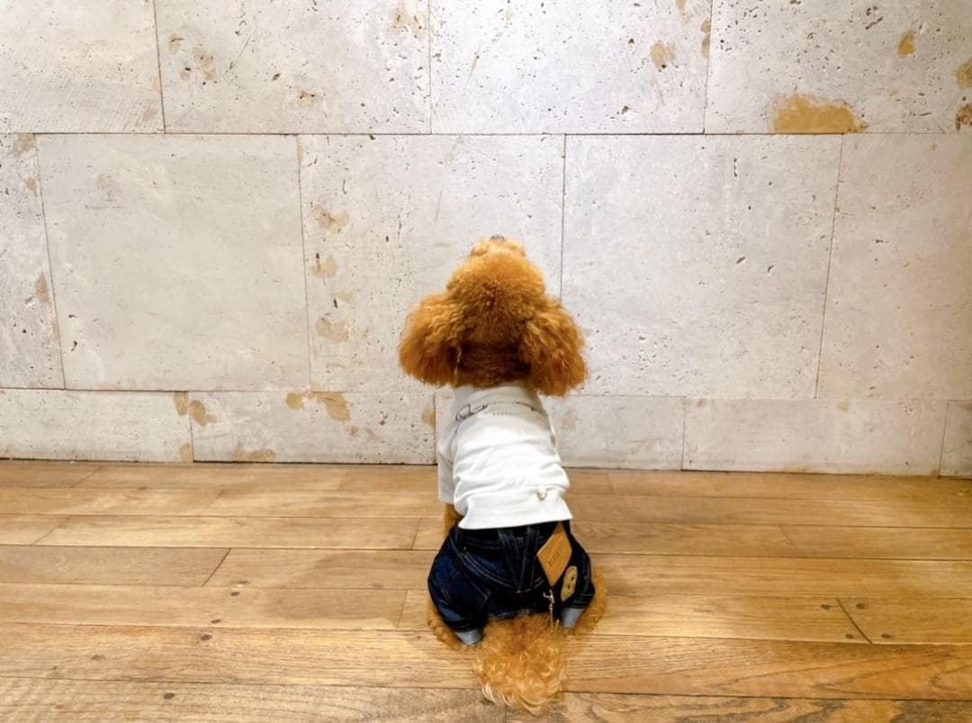 DENIM ROSE ワッペンデニムパンツ