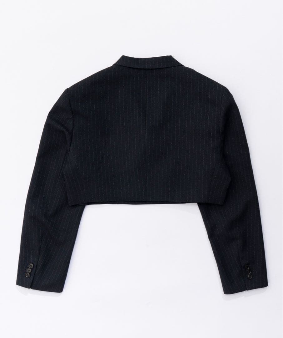 PRANK PROJECT テックツイードクロップドショートジャケット