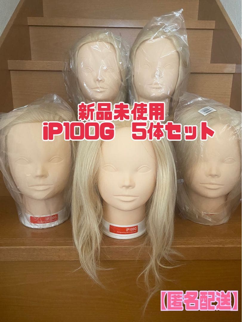 新品未使用 ウィッグカットカラーマネキン国試練習用iP100G 5体