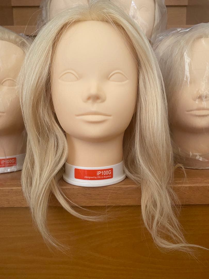 新品未使用 ウィッグカットカラーマネキン国試練習用iP100G 5体