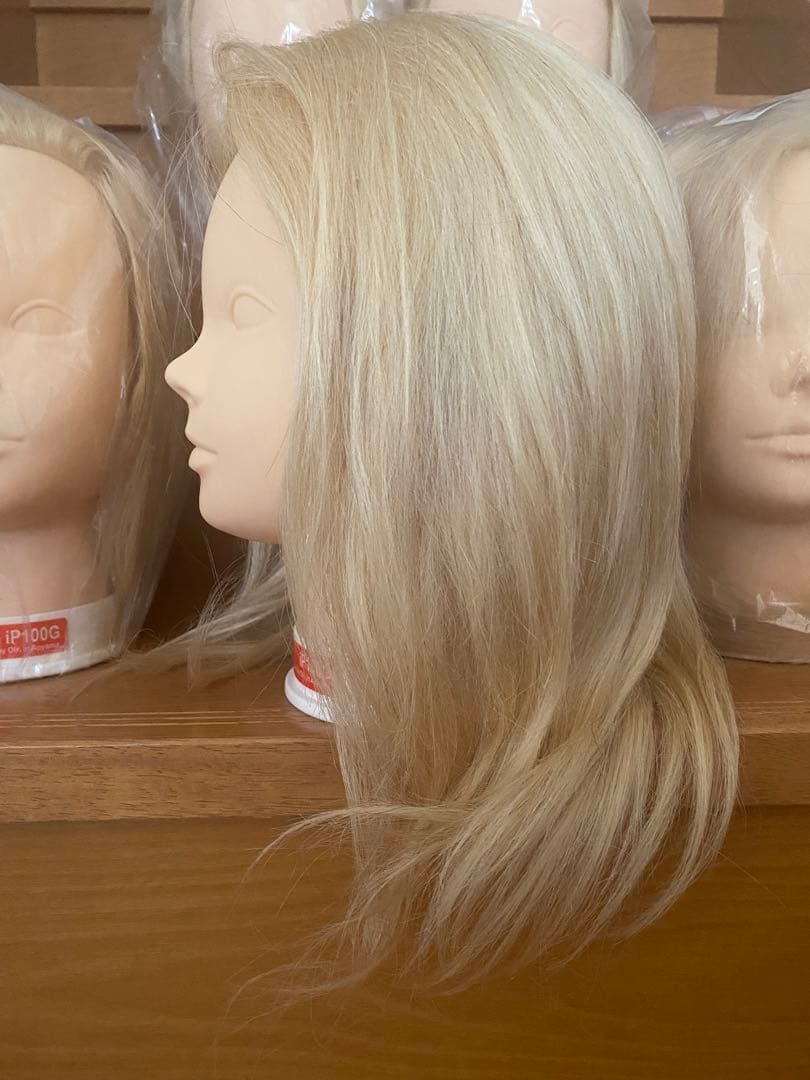 新品未使用 ウィッグカットカラーマネキン国試練習用iP100G 5体