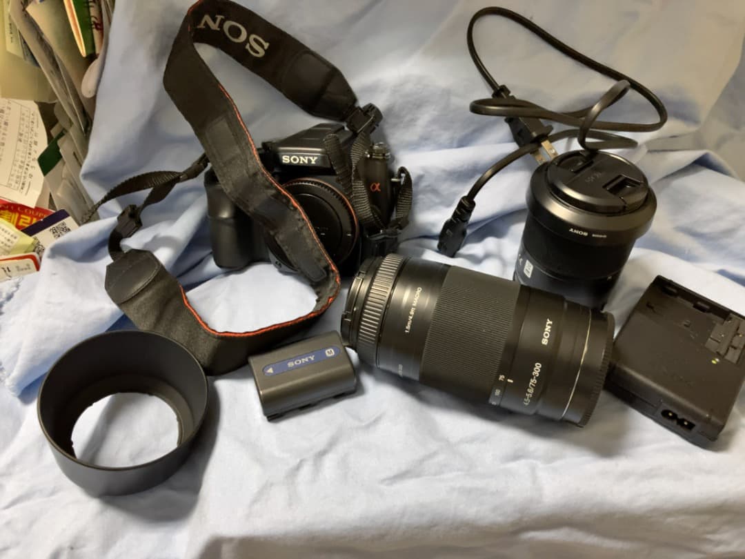 ソニーアルファ　Wレンズセット