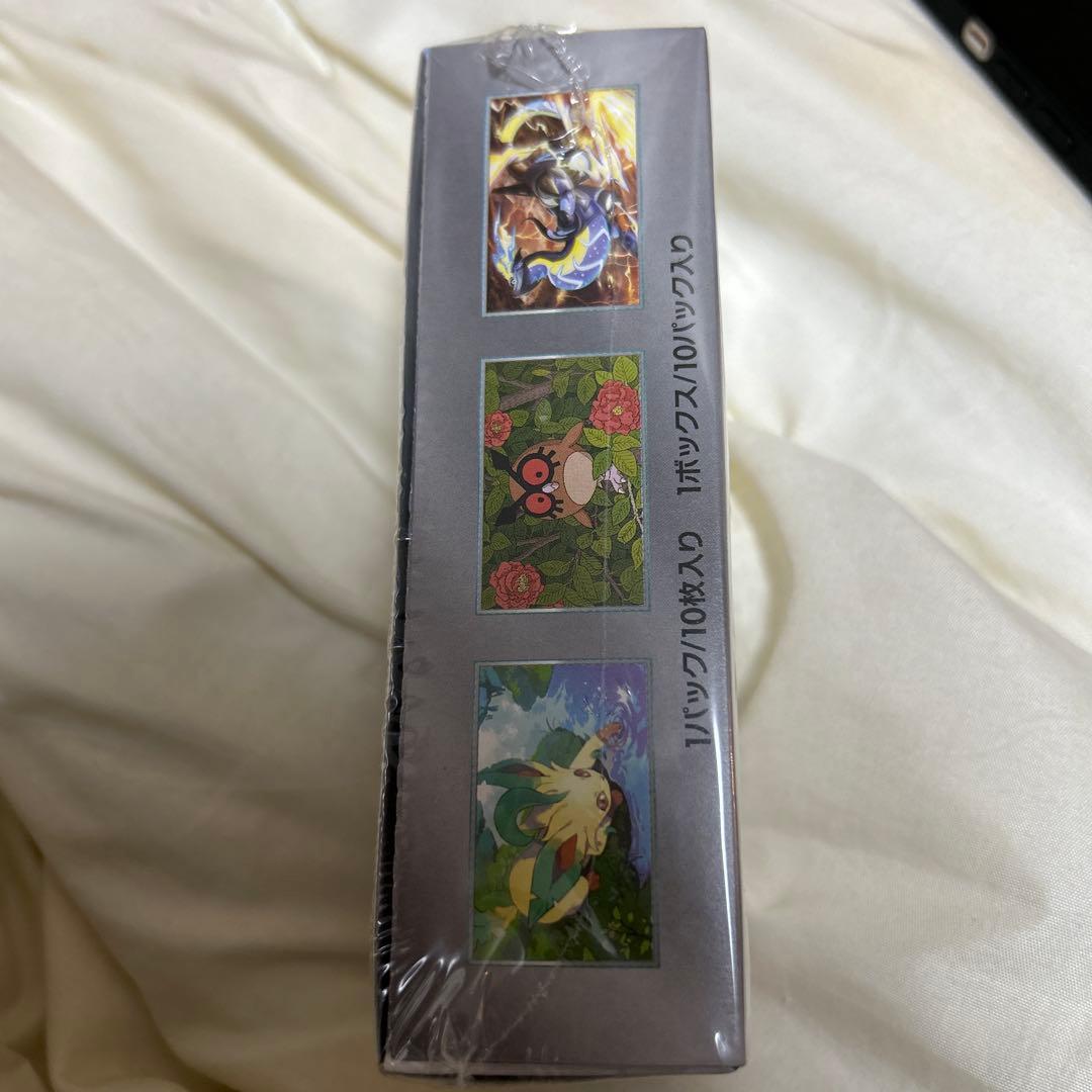 ポケモンカードゲーム テラスタルフェスEXシリーズ1boxシュリンク付き