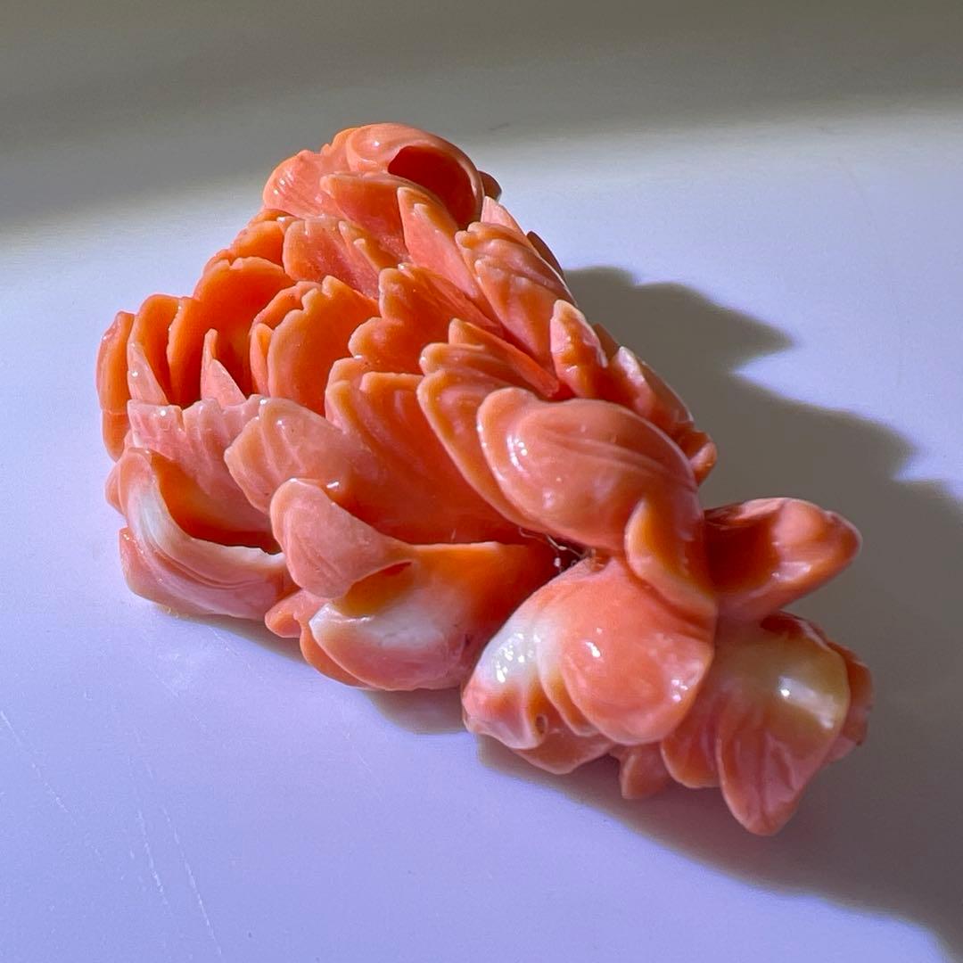 本赤珊瑚　大振バラ彫刻　31g 東Y8-0203☆2F