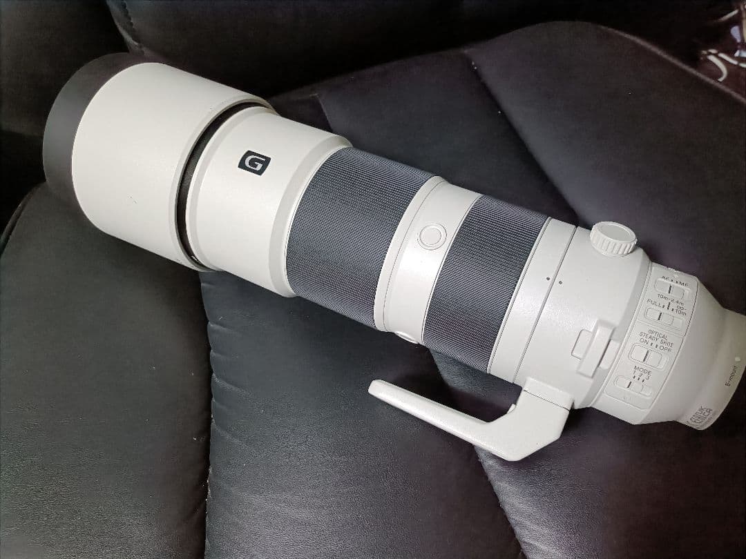 レイ200-600mm Sony Gレンズ 望遠レンズ