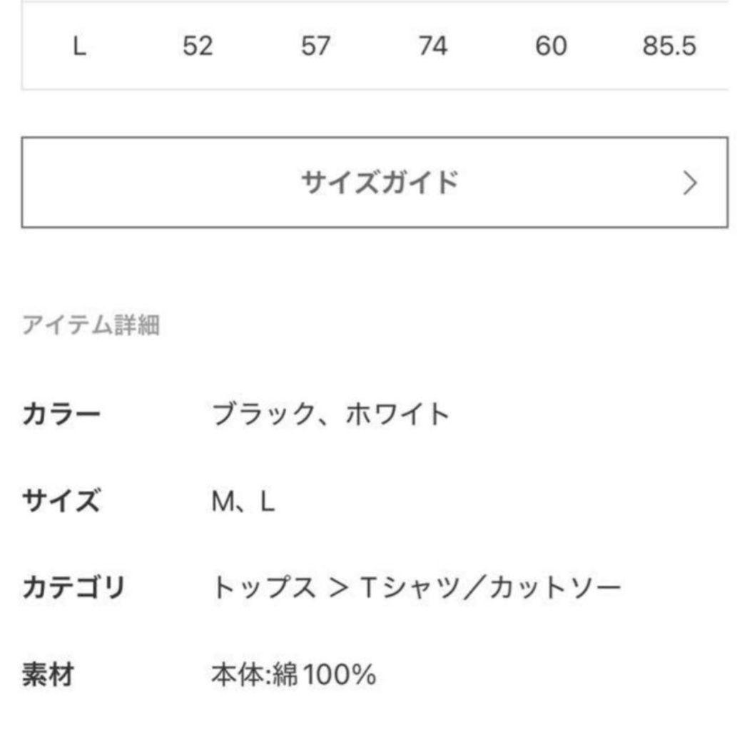 ジャーナルスタンダードラックス　SUNDAY白　Lサイズ