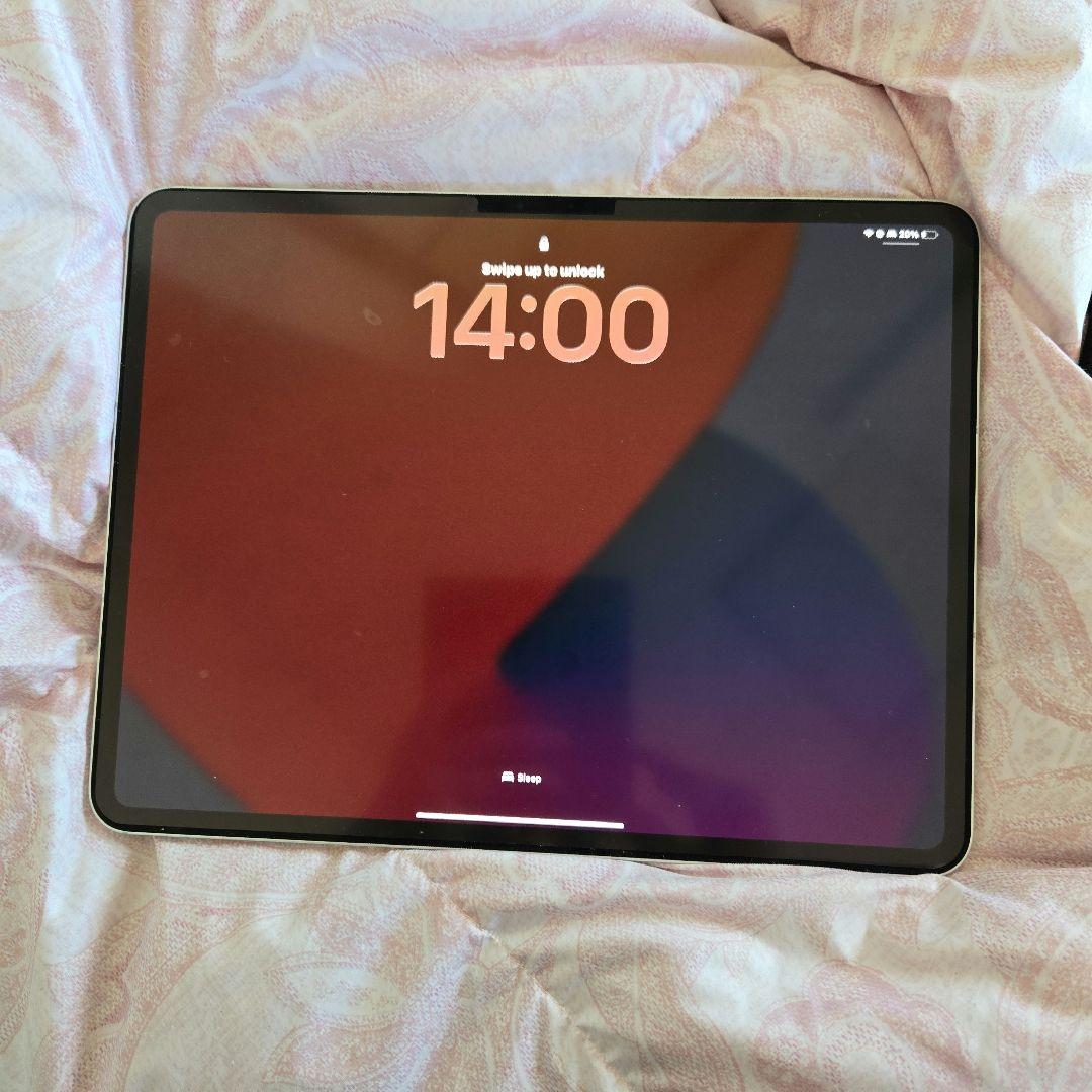 iPad Pro 13インチ M4 256GB+Apple Pencil Pro