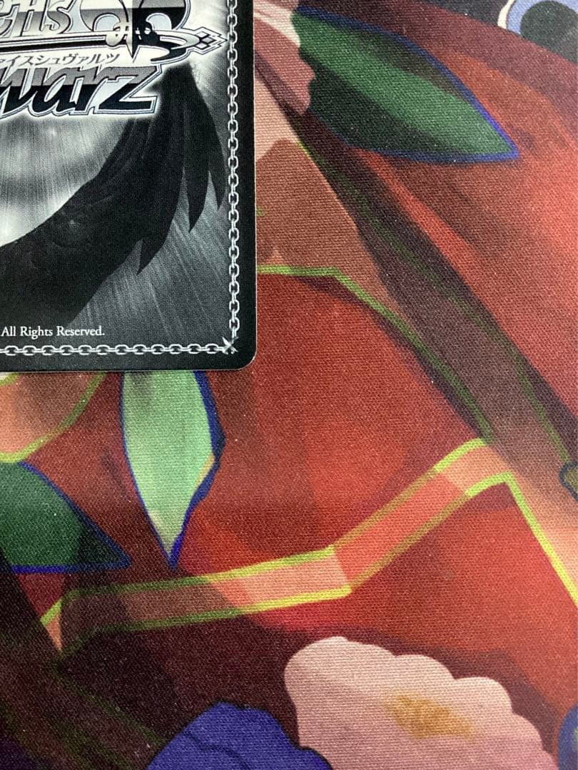 WS 角川スニーカー文庫 精神的露出狂 アーリャ SP サイン