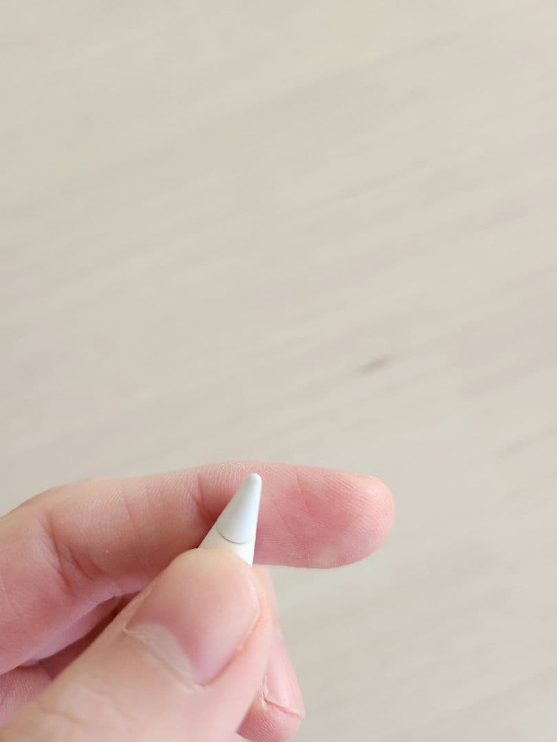 iPad pro (A2228) &Apple Pencil (第2世代)