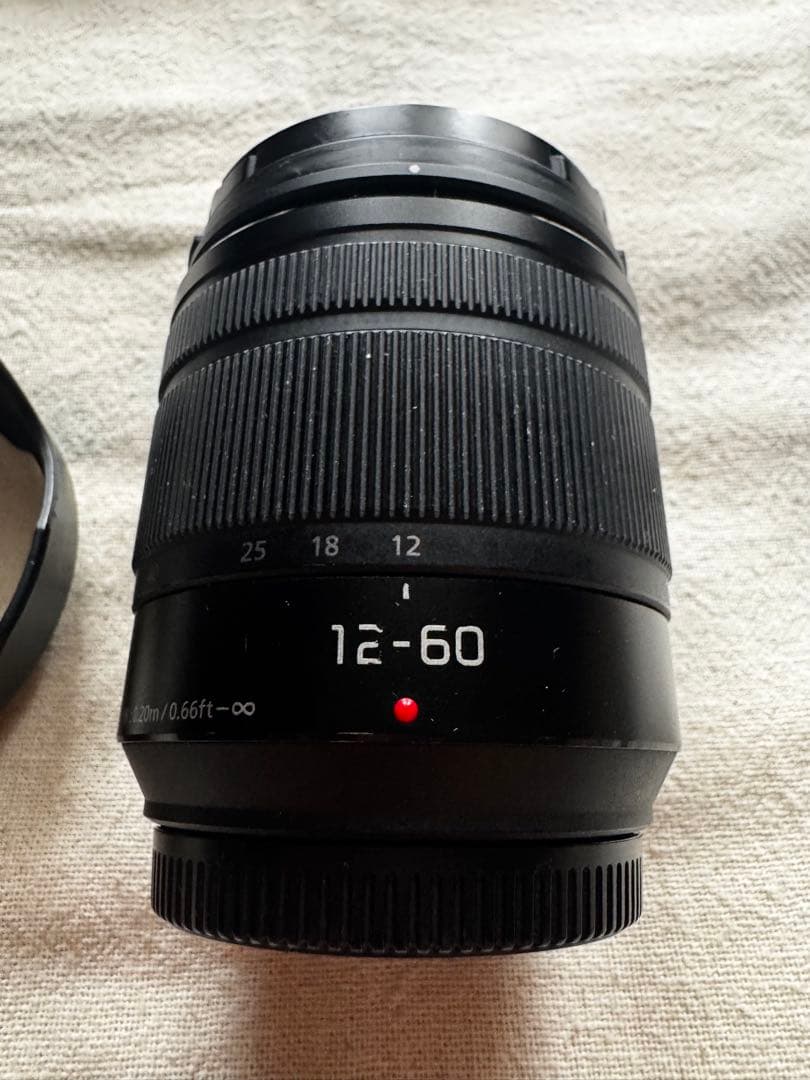 マイクロフォーサーズ Panasonic H-FS12060 12-60mm