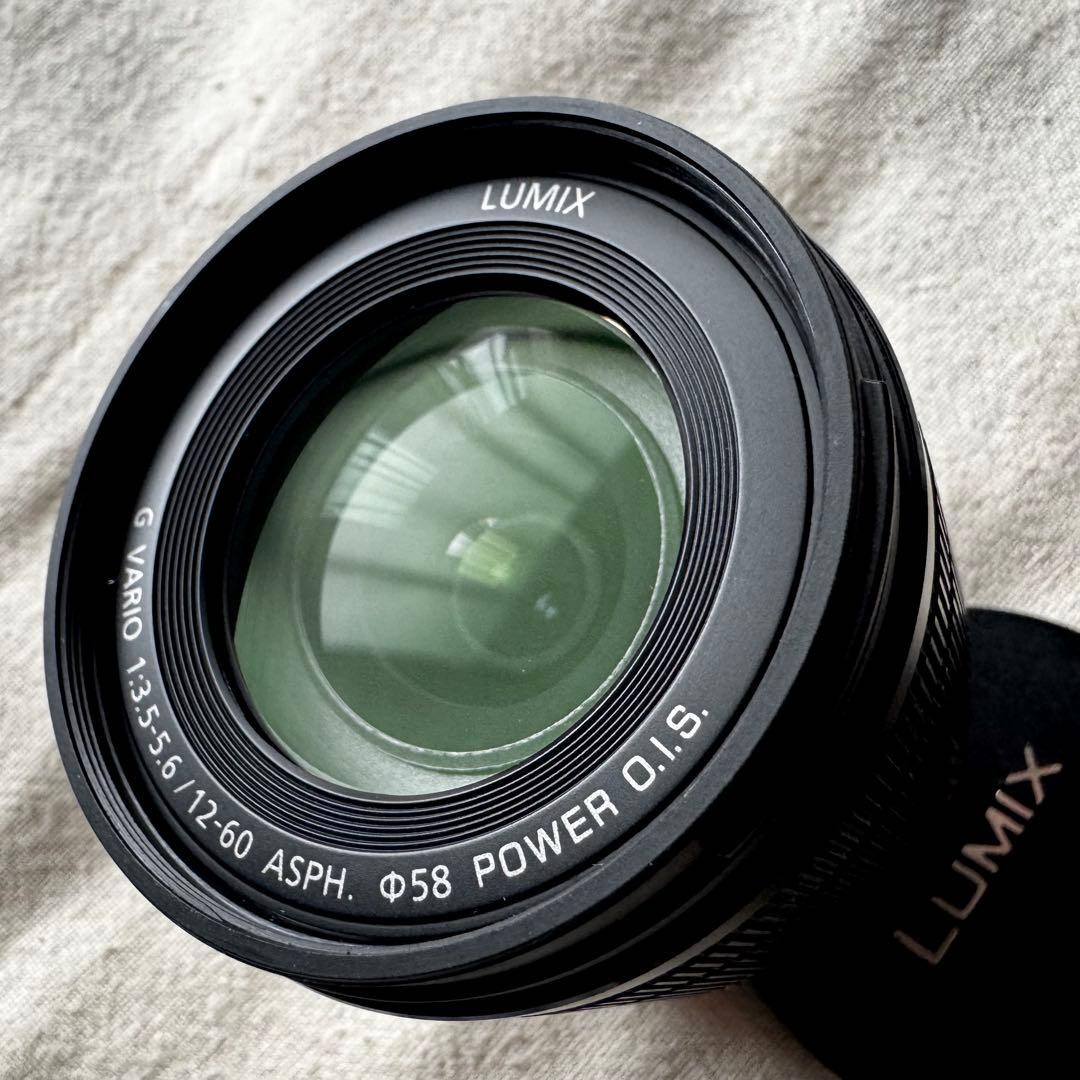 マイクロフォーサーズ Panasonic H-FS12060 12-60mm