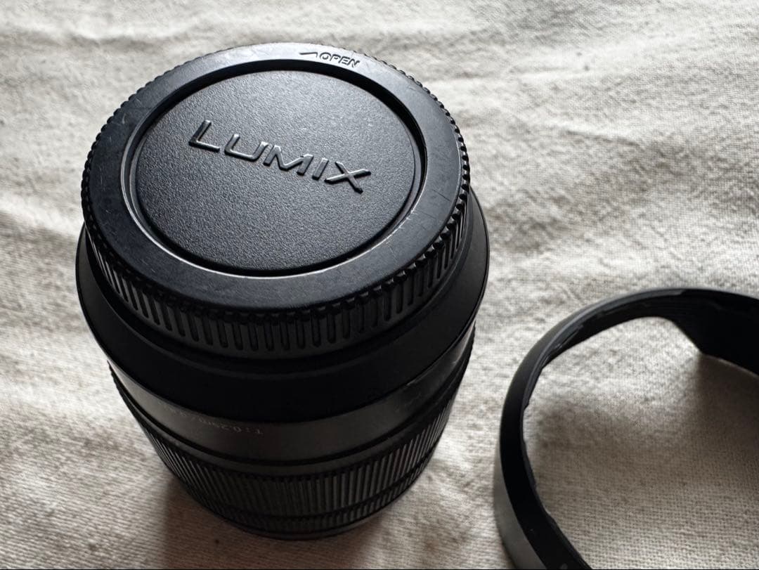 マイクロフォーサーズ Panasonic H-FS12060 12-60mm