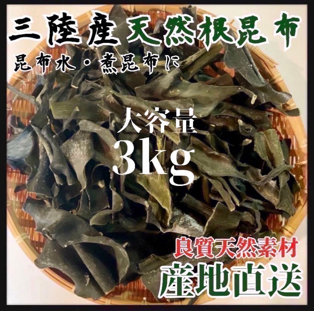 【岩手県産】乾燥根昆布　3kg 粘り強い　昆布茶　希少部位　煮物に最適　大容量