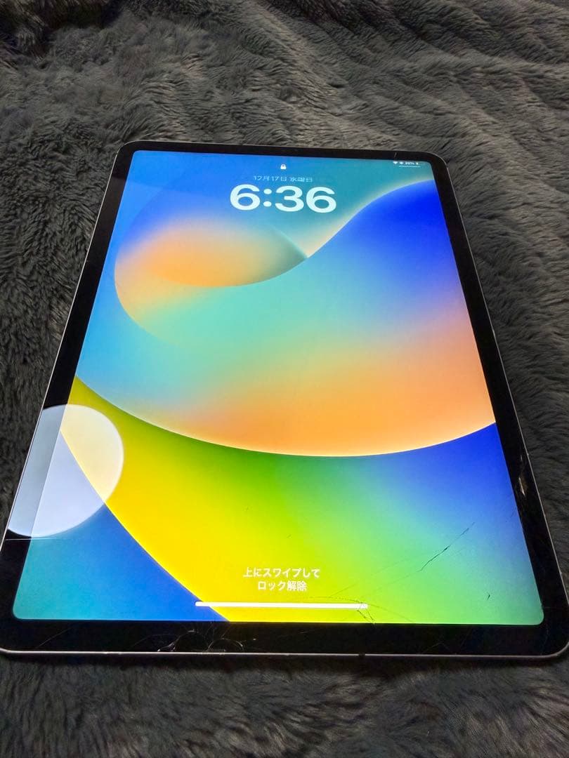 iPad Pro(11インチ)Cellular本体 画面にひびあり
