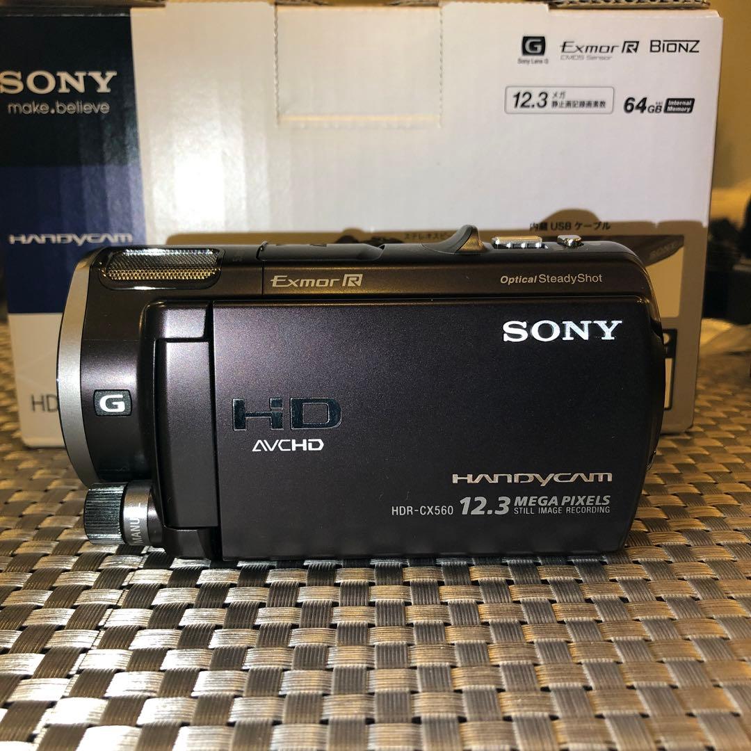 なす　SONY HDR-CX560V(T)