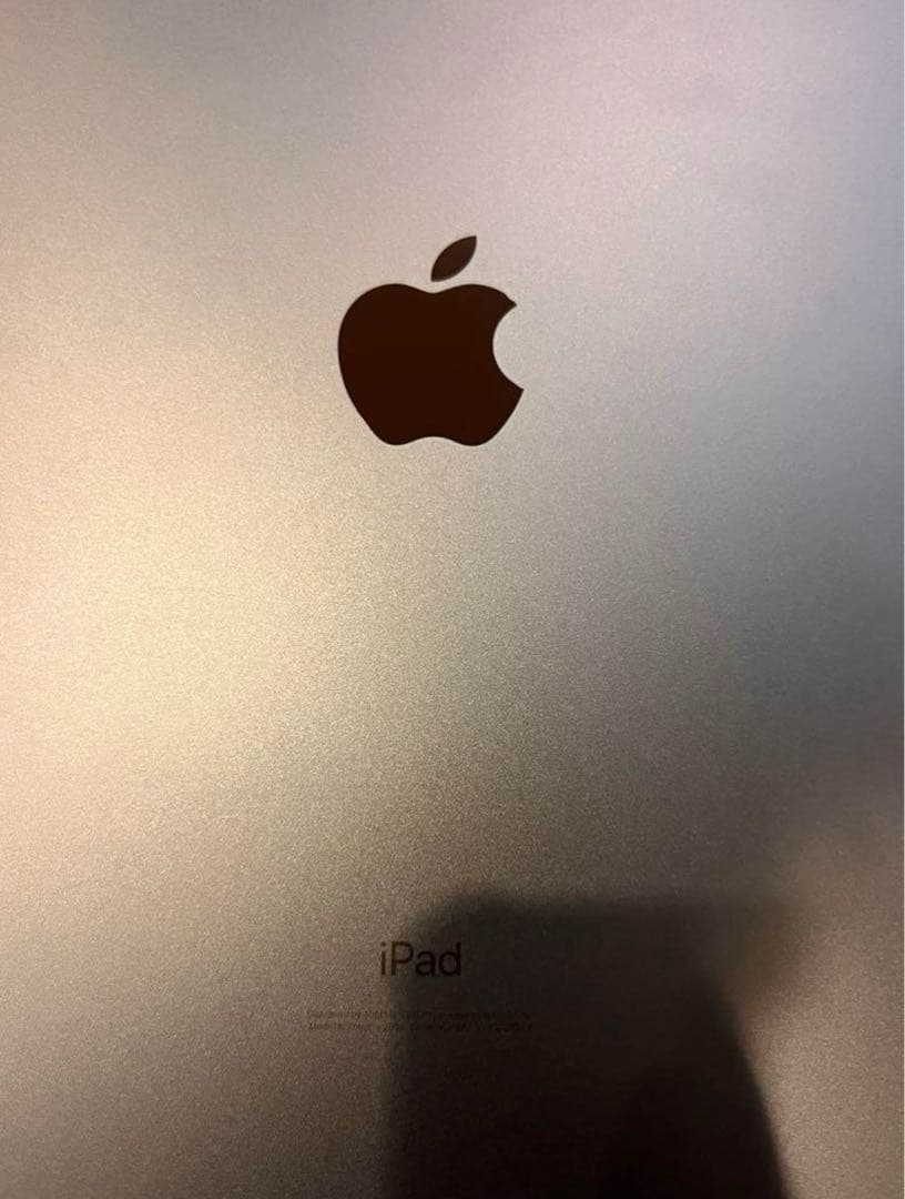 第10世代　Apple iPad 本体 充電器付き10.9インチ64GB ブルー