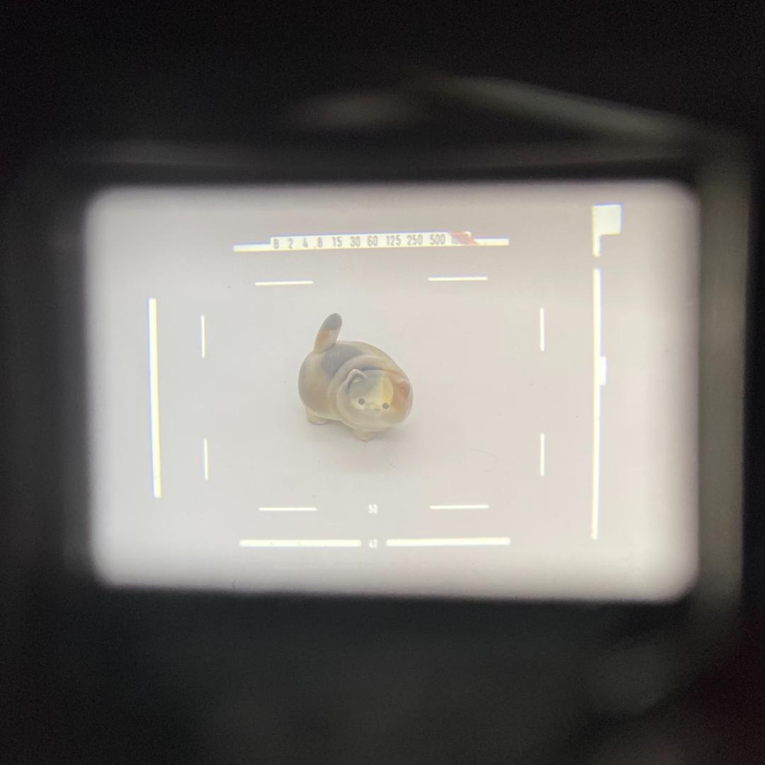 【C6119】MINOLTA ミノルタ LEITZ minolta CL