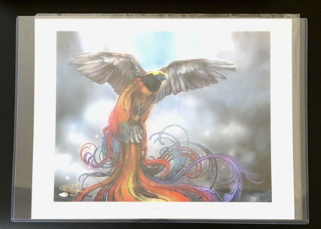 サイン入りアートプリント　極楽鳥　Birds of Paradise MTG