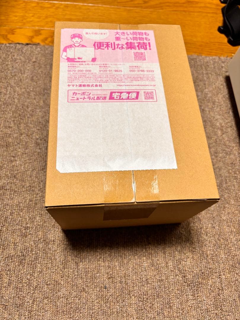 新品未開封 しかのこのこのここしたんたん ONKYO ワイヤレスイヤホン