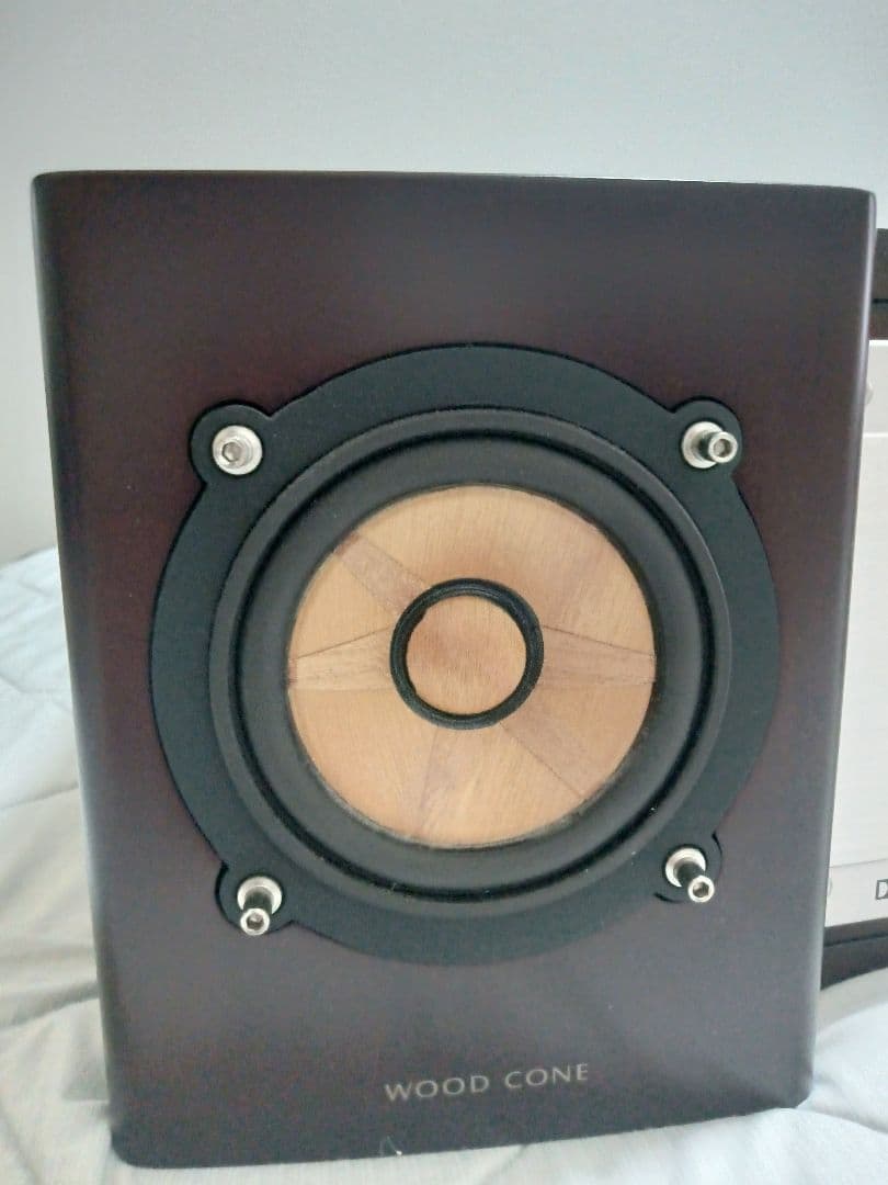 ビクター EX-B3 JVC ウッドコーン