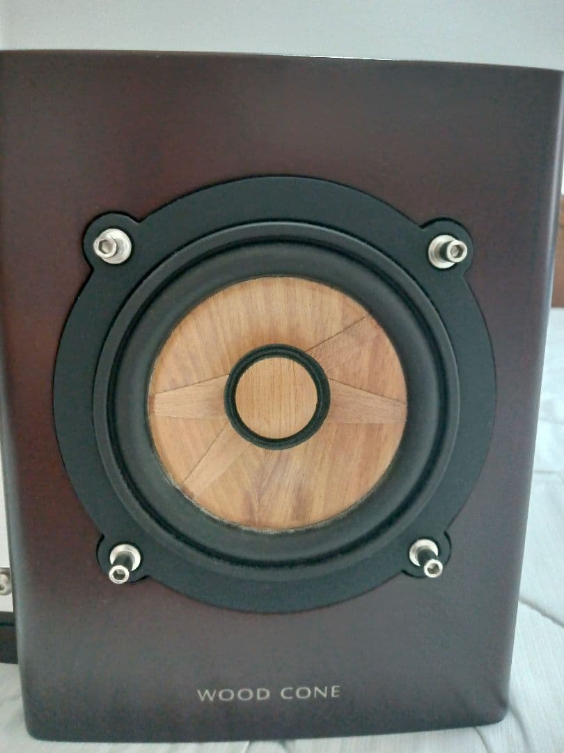 ビクター EX-B3 JVC ウッドコーン