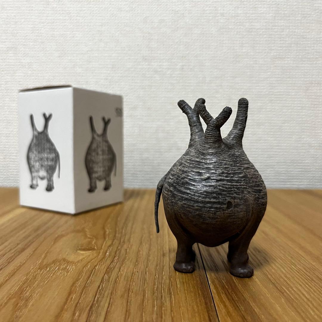 OZWRT Pachypodium Graciliphant グラキリファン