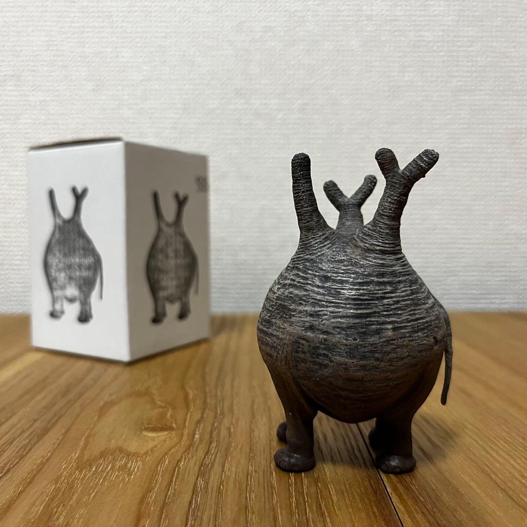 OZWRT Pachypodium Graciliphant グラキリファン