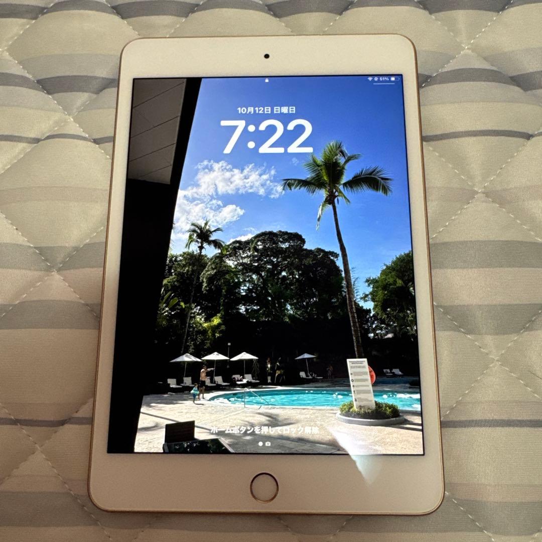 2524極美品新品級☆電池最良好☆iPad mini5 64GB WIFIモデル
