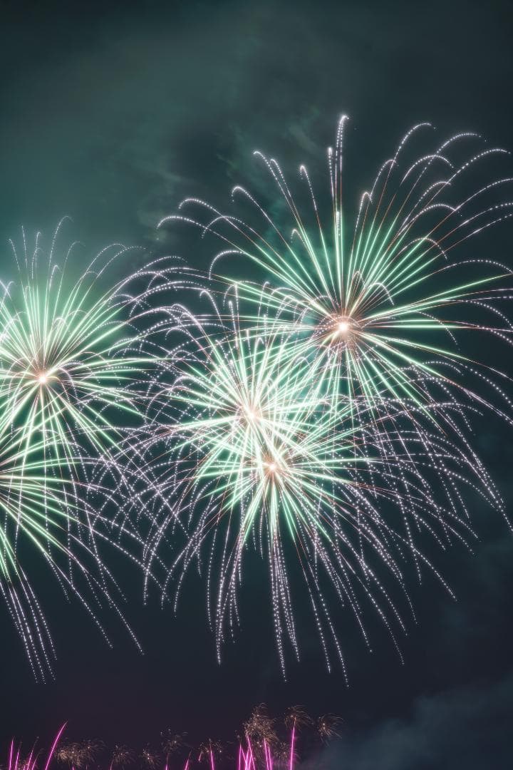 お買得品絶版マクロ！Zeiss Makro-Planar 100mm f2 ZF