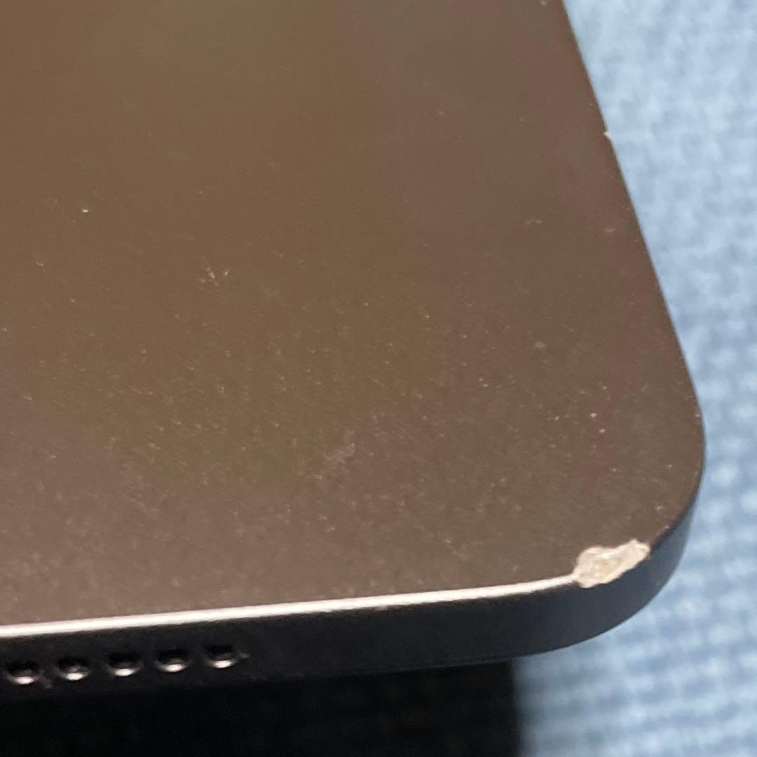 あまでうす　【Applepencil 2セット】iPad