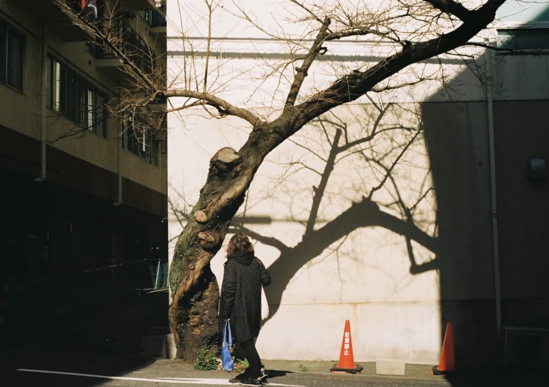 動作確認済 PENTAX ME super／SMC M 50mm f1.4