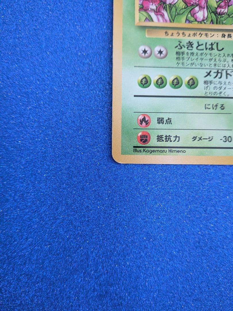 バタフリー HP70 No.012　旧裏