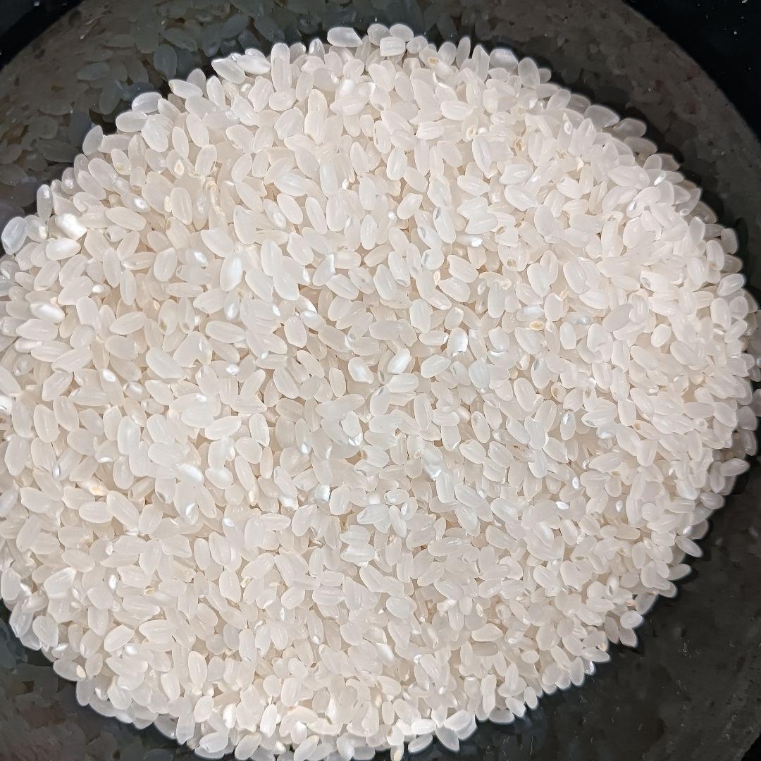 令和６年度青森県産まっしぐら１０kg