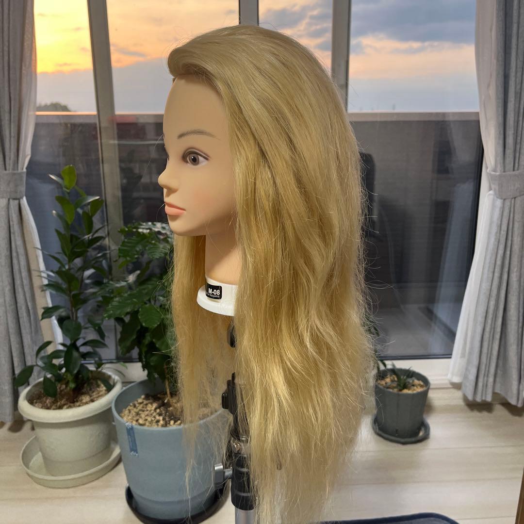 アップ練習ウィッグ　ヘアセット用ウィッグ(カットも可) 美容師必見