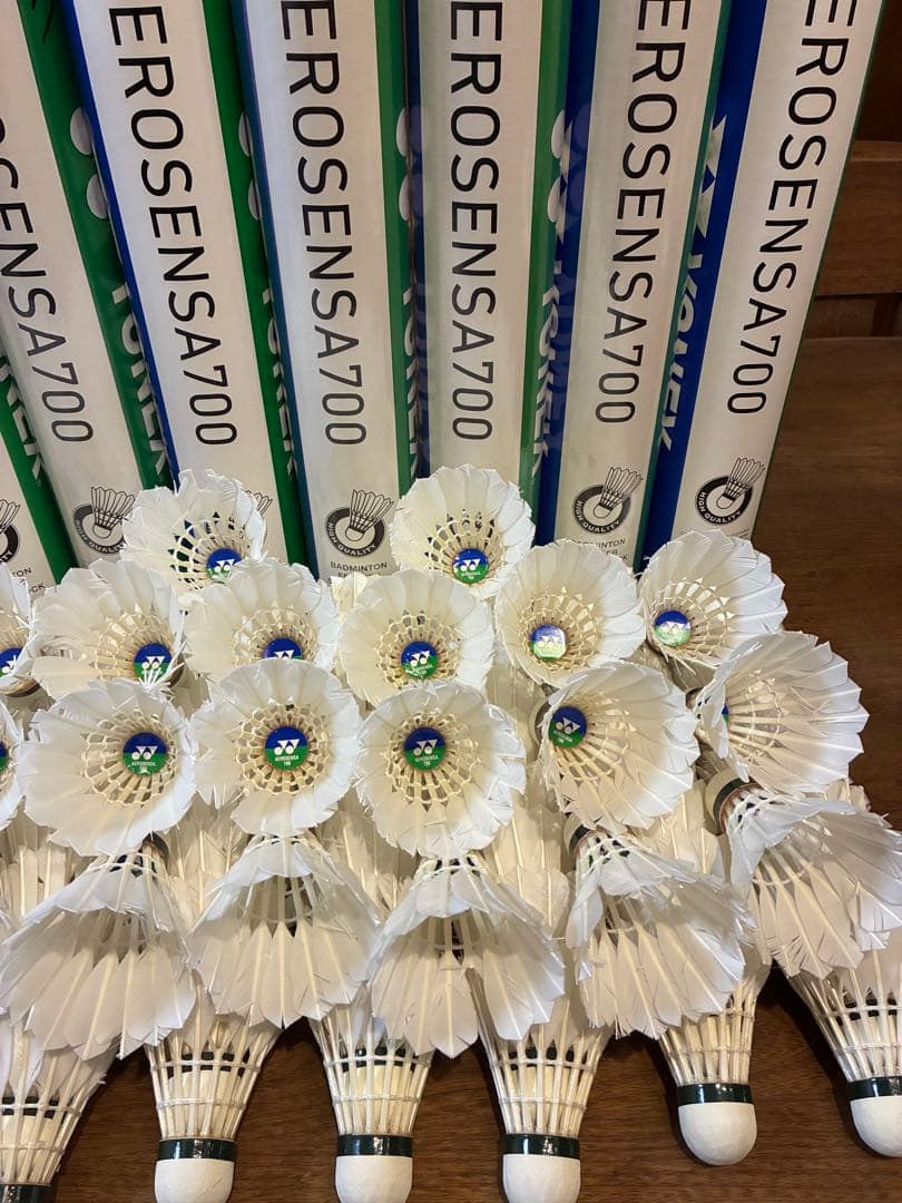 エアロセンサー700 120球