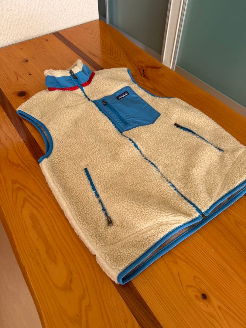 週末限定値下げ‼️Patagonia パタゴニア レトロX ベスト　アラスカブルー