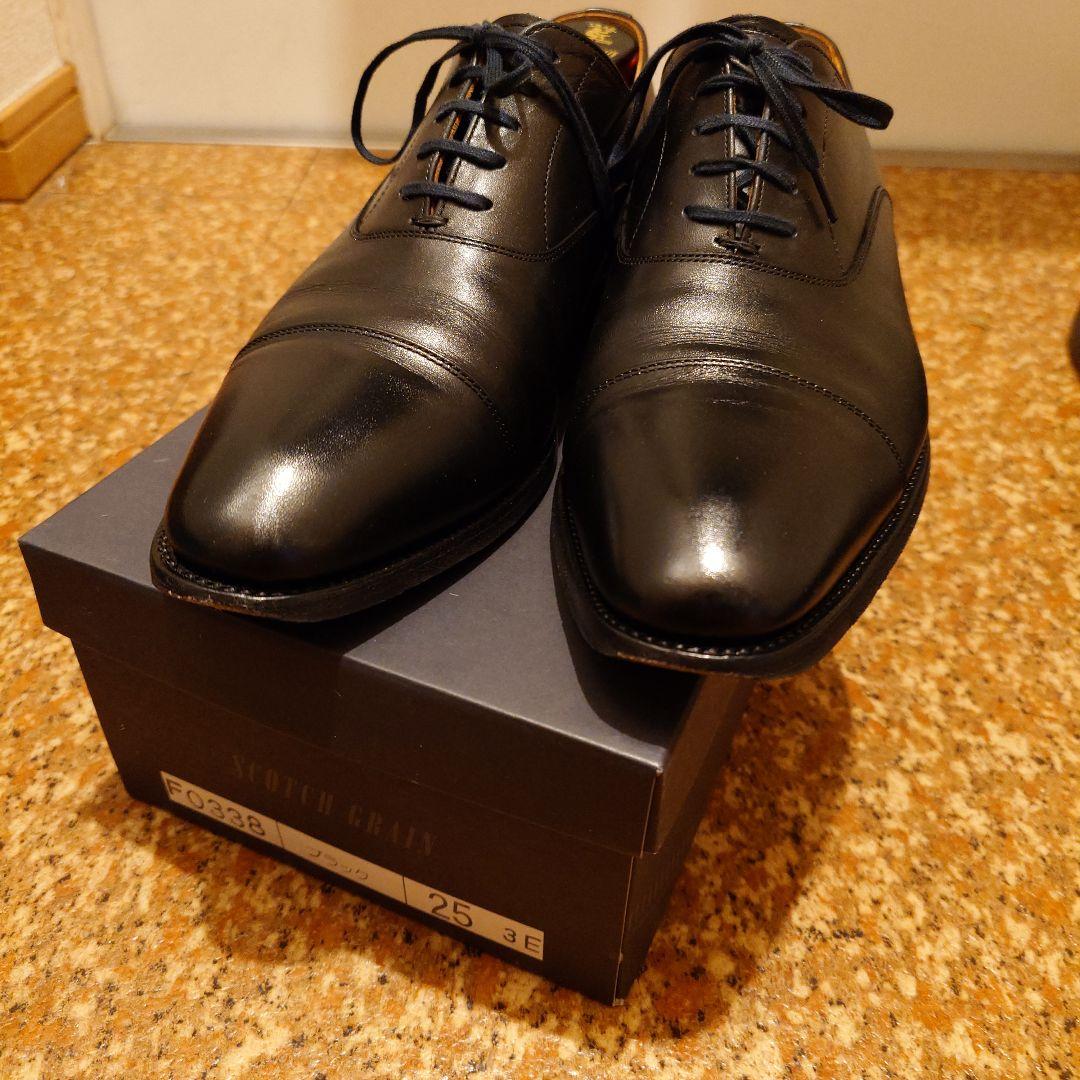 スコッチグレイン 25cm/3E 高島屋 TS200