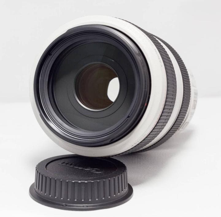 【手振れ】 キャノン EF70-300mm F4-5.6 L IS USM