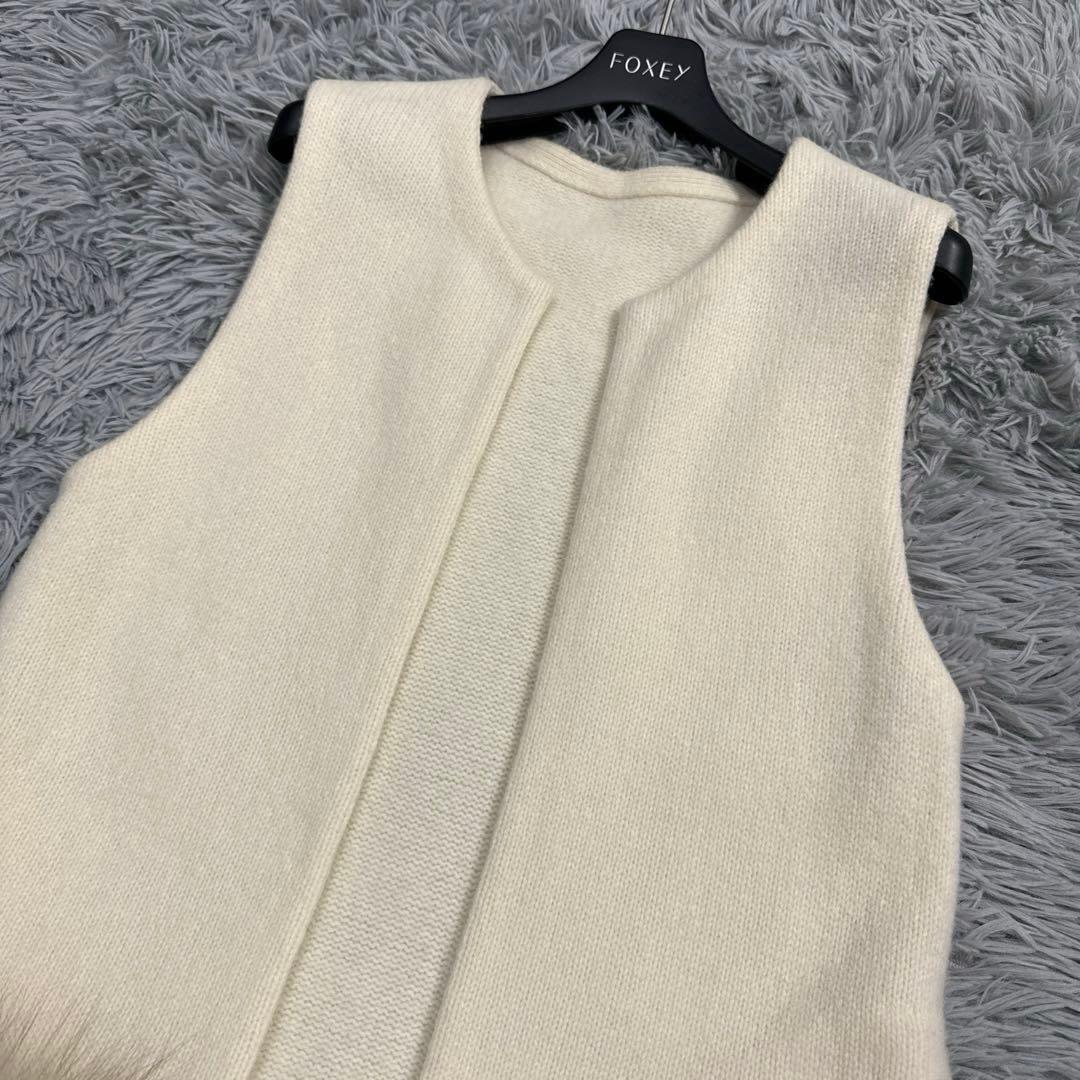 美品✨定価30万 フォクシー スノーミスト ウールジレ フォックスファー フリー