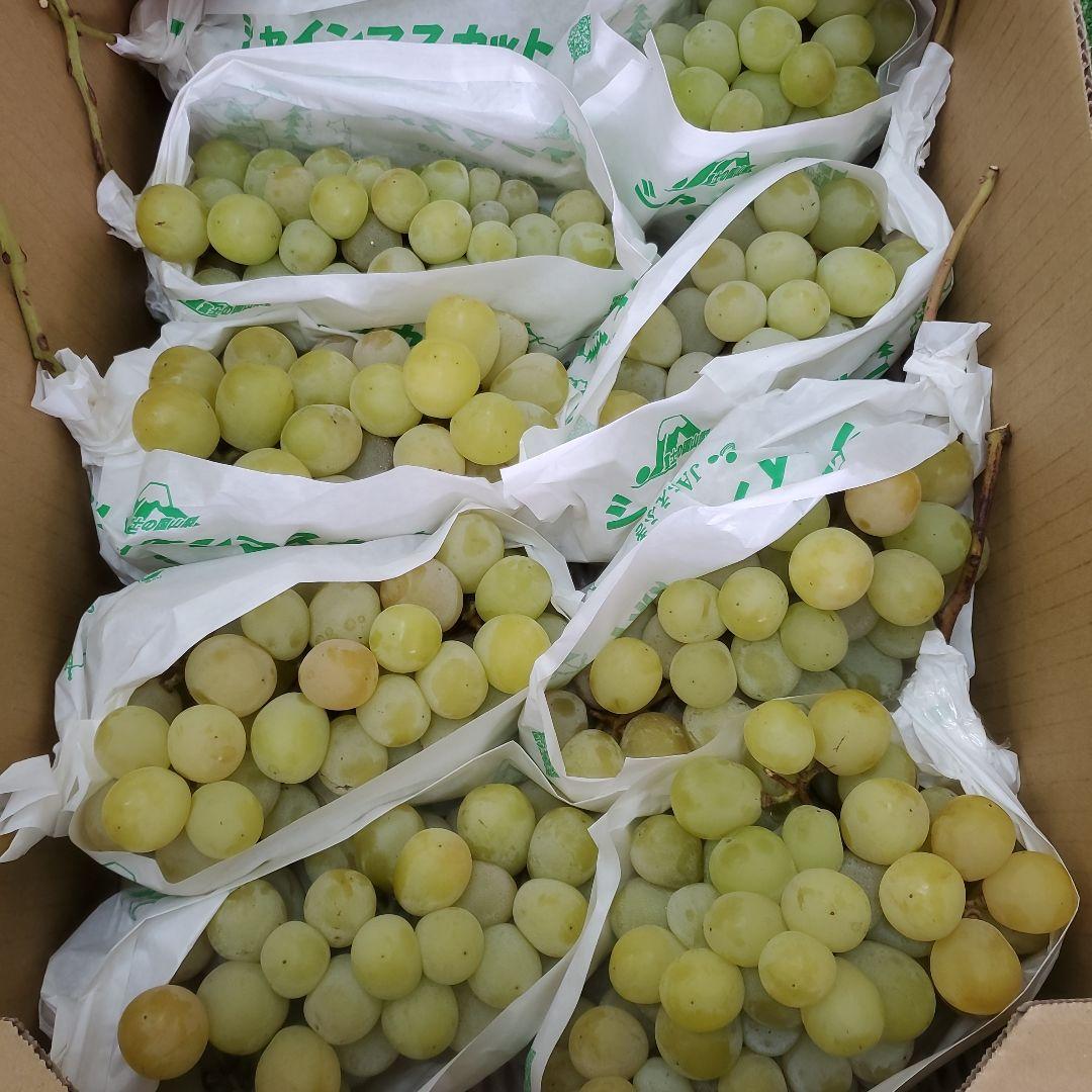 2️⃣ 山梨県産 シャインマスカット ９房入り 箱込み5.5キロ