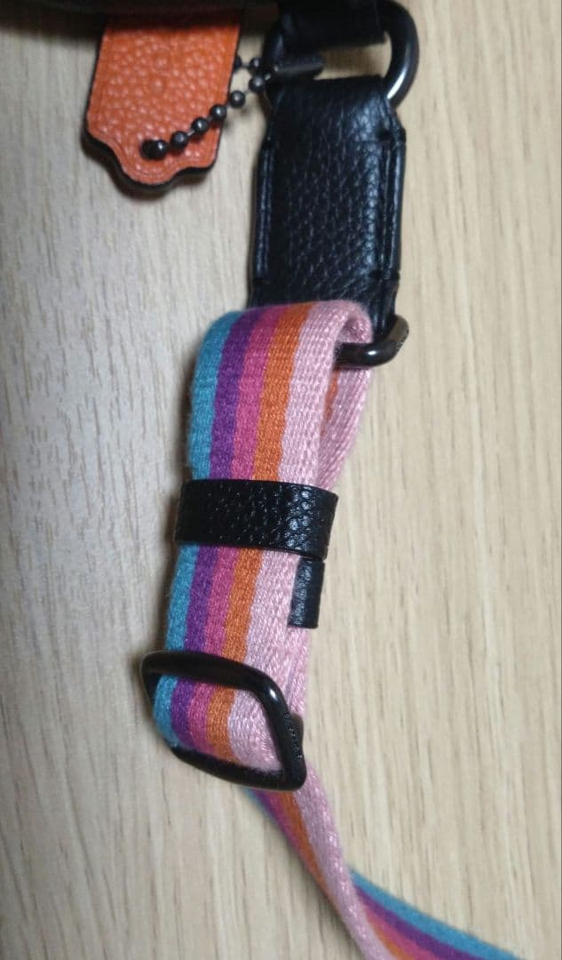 COACH恐竜柄革ウエストポーチ