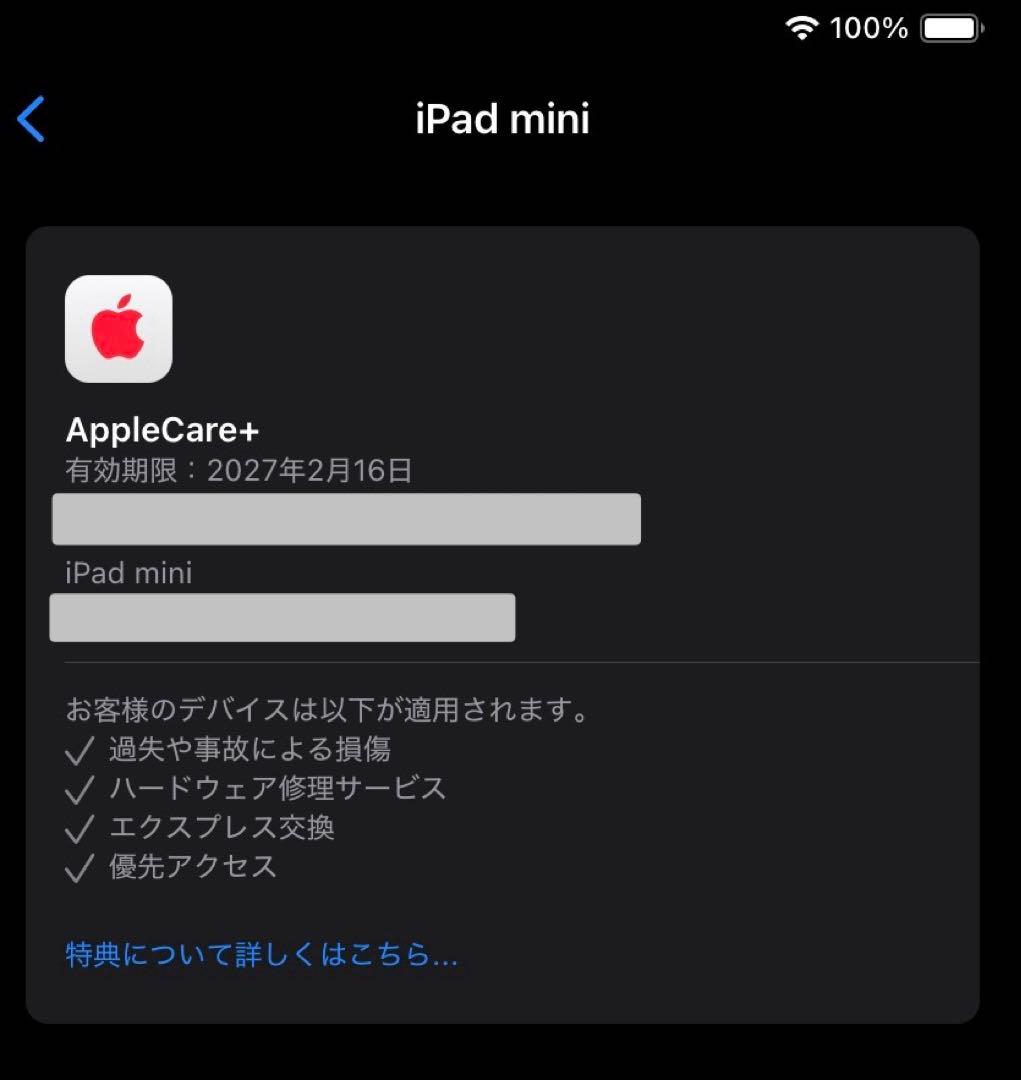 S*N様 iPad mini 第7世代　128GB スペースグレイ　A17 pr