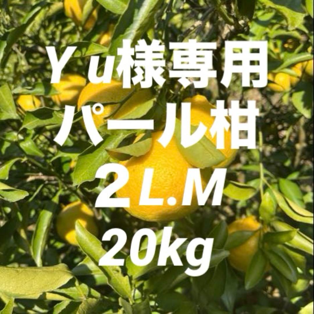 Y uパール柑2L&M 20kg