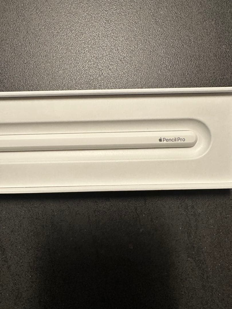 極美品 Apple Pencil Pro アップルペンシルプロ