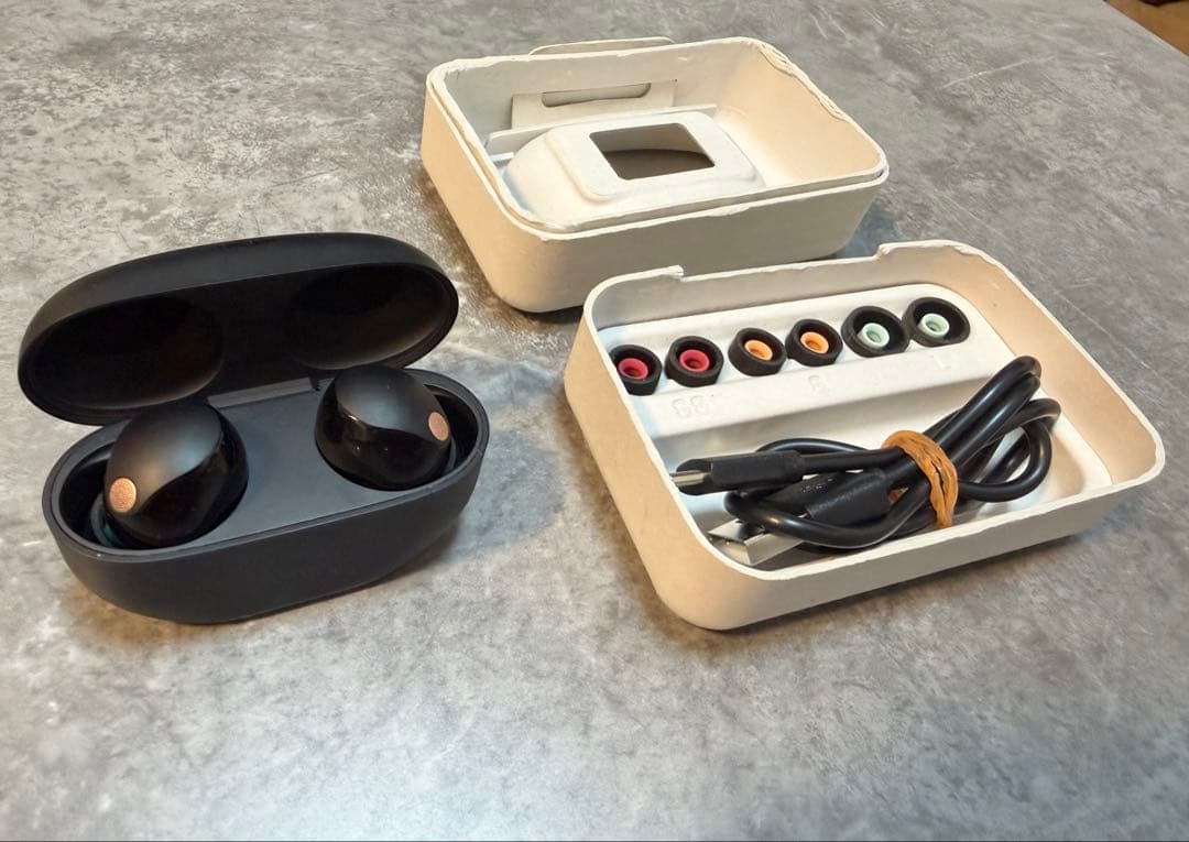 ソニー WF-1000XM5 ブラック ワイヤレスイヤホン