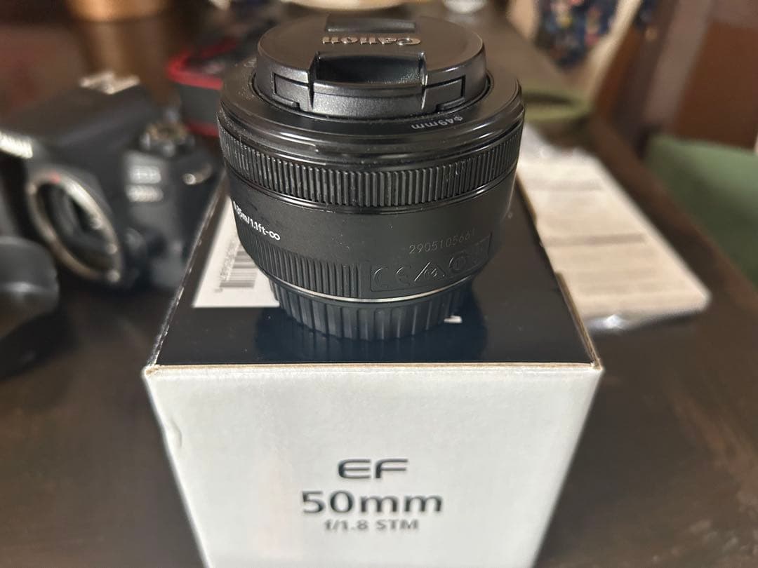 【最終価格】Canon EOS 9000D ダブルズームキット　＋α