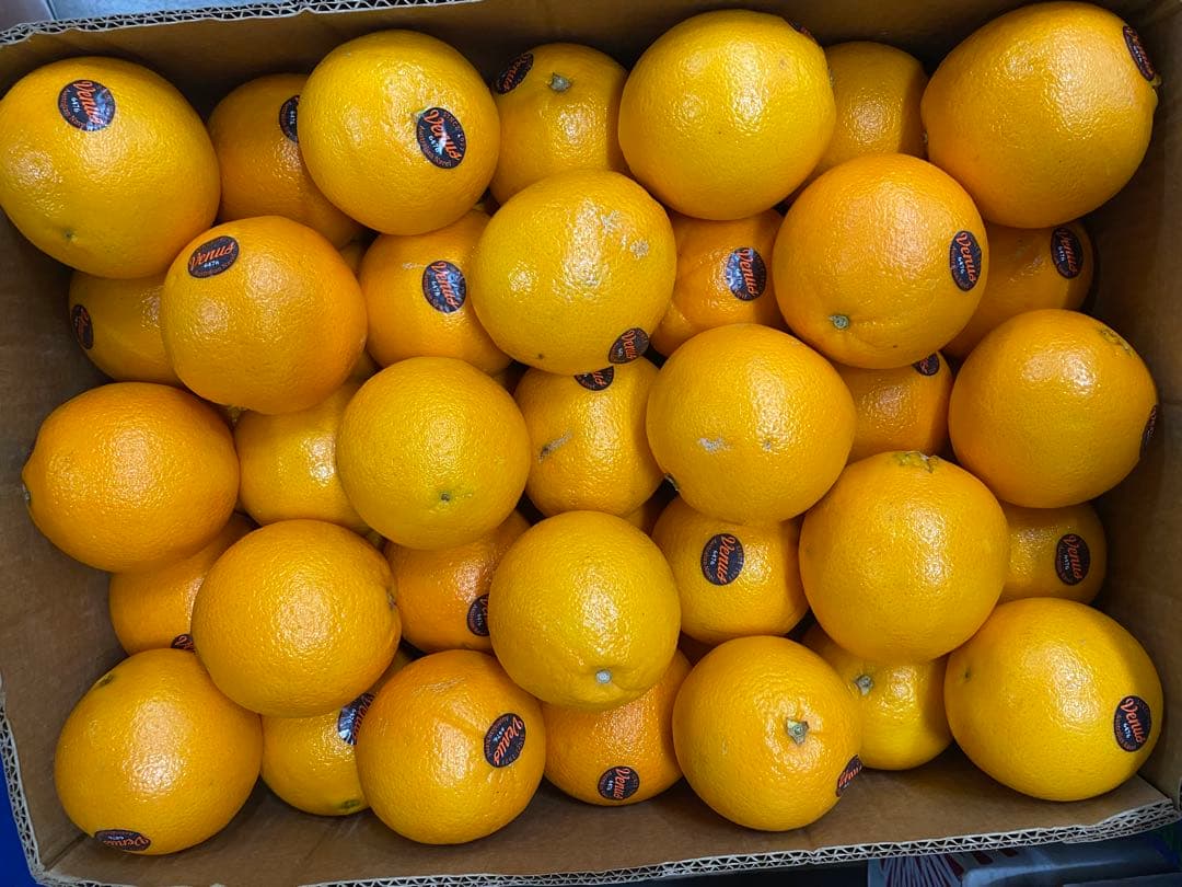 ネーブルオレンジ　18キロ　カリフォルニア産　お値打ち　正規品