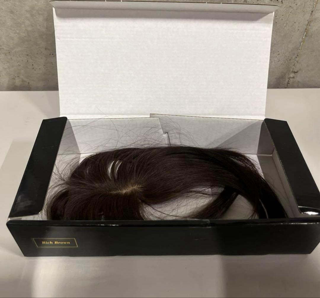 Ginka Winka ギンカ ウィンカ ウィッグ