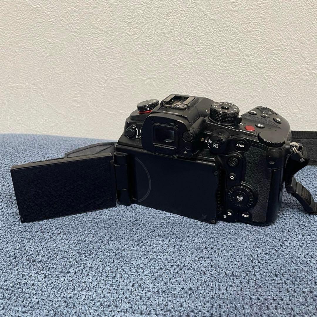 LUMIX GH6 ミラーレス一眼カメラ